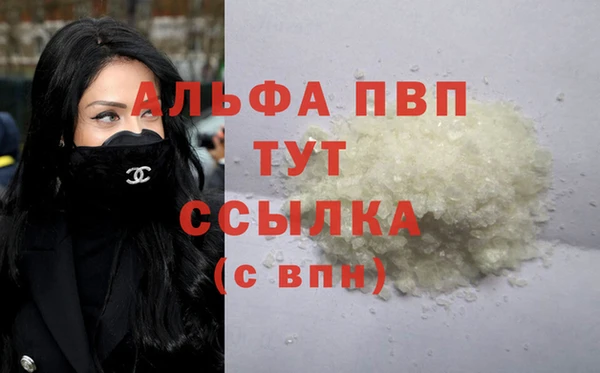 хмурый Абаза