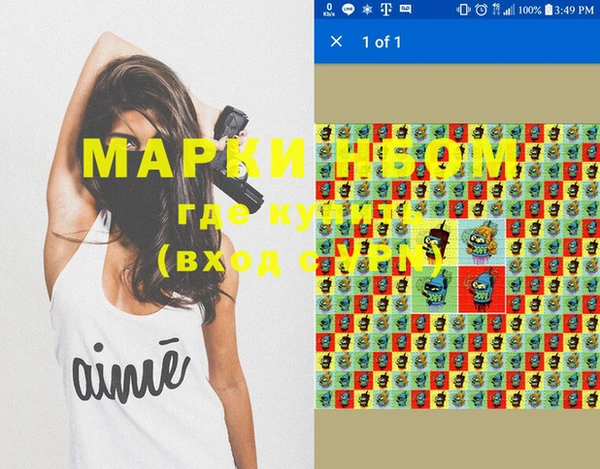 индика Алзамай