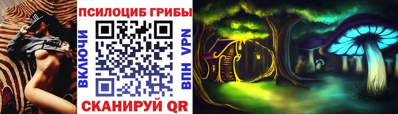 хочу наркоту  Ярославль  Псилоцибиновые грибы Psilocybine cubensis 