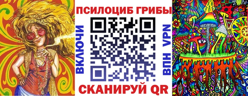 Псилоцибиновые грибы Cubensis Ярославль